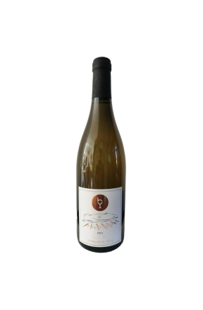Müller Thurgau 2024