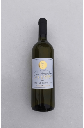 Müller Thurgau 2024