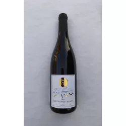 Sauvignon blanc 2025