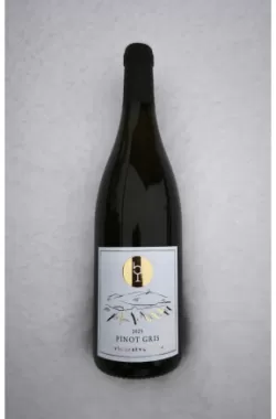 Pinot gris 2025
